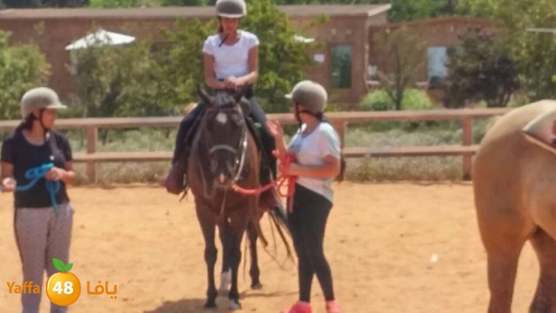 re7lasjafshq (8).jpg